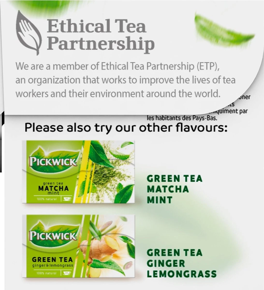 Pickwick Pure Groene Thee - 12 X 20 Zakjes 4 Pickwick Pure Groene Thee - 12 X 20 Zakjes - Afbeelding 2