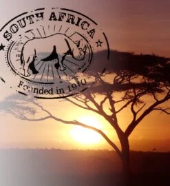 Soolong South Africa Nr40 Rooibos Cadeau Of Proefpakket Met Vier Luxe Theeen - Losse Rooibos & Honeybush - Ideaal Als Relatiegeschenk, Proeverij Of Met Valentijnsdag - Assortiment 4stuks -Voedsel Serie Winkel 1096x1200 2