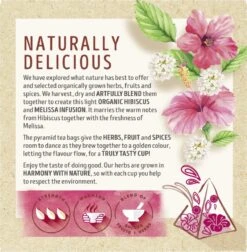 Lipton Hibiscus & Melissa Kruidenthee, Met De Zoete Smaak Van Hibiscus En De Frisse Smaak Van Melissa - 4 X 20 Zakjes - PL-EKO-03 13 Lipton Hibiscus & Melissa Kruidenthee, Met De Zoete Smaak Van Hibiscus En De Frisse Smaak Van Melissa - 4 X 20 Zakjes - PL-EKO-03 -Voedsel Serie Winkel 1175x1200 3