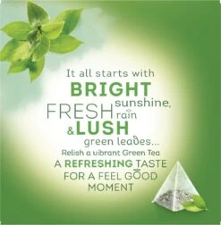 Lipton Fresh Nature Groene Thee, Met De Frisse Pure Smaak Van De Natuur - 4 X 20 Zakjes - PL-EKO-03 -Voedsel Serie Winkel 1175x1200 5
