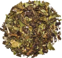 Into The Cycle Kruidenthee - Citroenmelisse Thee Biologisch - Losse Thee - 50 Gram Zak -Voedsel Serie Winkel 1200x1118