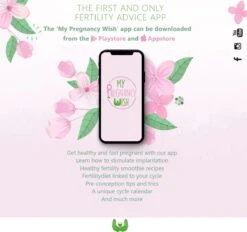 Biologische Innesteling Thee, Zwanger Worden, Innesteling Bevorderen, Innesteling Stimuleren, Vruchtbaarheid Verbeteren, Fertiliteit, IVF, ICSI, IUI, Ontspannen Baarmoeder, Warmte, Bloedcirculatie, Hormoonbalans -Voedsel Serie Winkel 1200x1125 2