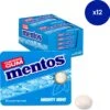 Mentos Suikervrije Kauwgom - Mighty Mint - 12 Blisters -Voedsel Serie Winkel 1200x1195 2