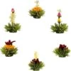 Theebloemen Boeket Groene Thee | 6 Stuks -Voedsel Serie Winkel 1200x1198 6