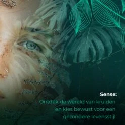 Soolong Sense China Nr11 Gember Thee - Verkwikkend & Krachtig - Gember & Citroengras - Duurzame Losse Thee - Premium Kruidenthee Uit China - Blik 25gram 17 Soolong Sense China Nr11 Gember Thee - Verkwikkend & Krachtig - Gember & Citroengras - Duurzame Losse Thee - Premium Kruidenthee Uit China - Blik 25gram -Voedsel Serie Winkel 1200x1200 245