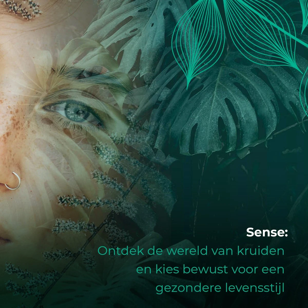 Soolong Sense China Nr11 Gember Thee - Verkwikkend & Krachtig - Gember & Citroengras - Duurzame Losse Thee - Premium Kruidenthee Uit China - Blik 25gram 5 Soolong Sense China Nr11 Gember Thee - Verkwikkend & Krachtig - Gember & Citroengras - Duurzame Losse Thee - Premium Kruidenthee Uit China - Blik 25gram - Afbeelding 3