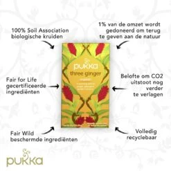 Pukka Three Ginger Thee, Met Kurkuma, Gember En Galangawortel - 4 X 20 Zakjes - GB-BIO-05 12 Pukka Three Ginger Thee, Met Kurkuma, Gember En Galangawortel - 4 X 20 Zakjes - GB-BIO-05 -Voedsel Serie Winkel 1200x1200 326