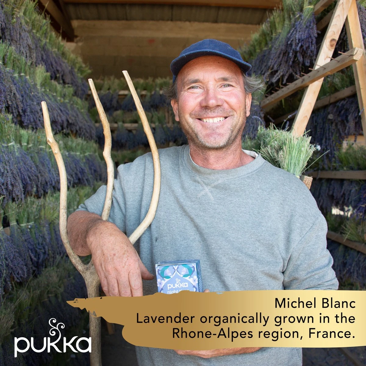 Pukka Relax Thee, Met Kamille, Venkel En Gember - 4 X 20 Zakjes - GB-BIO-05 6 Pukka Relax Thee, Met Kamille, Venkel En Gember - 4 X 20 Zakjes - GB-BIO-05 - Afbeelding 4