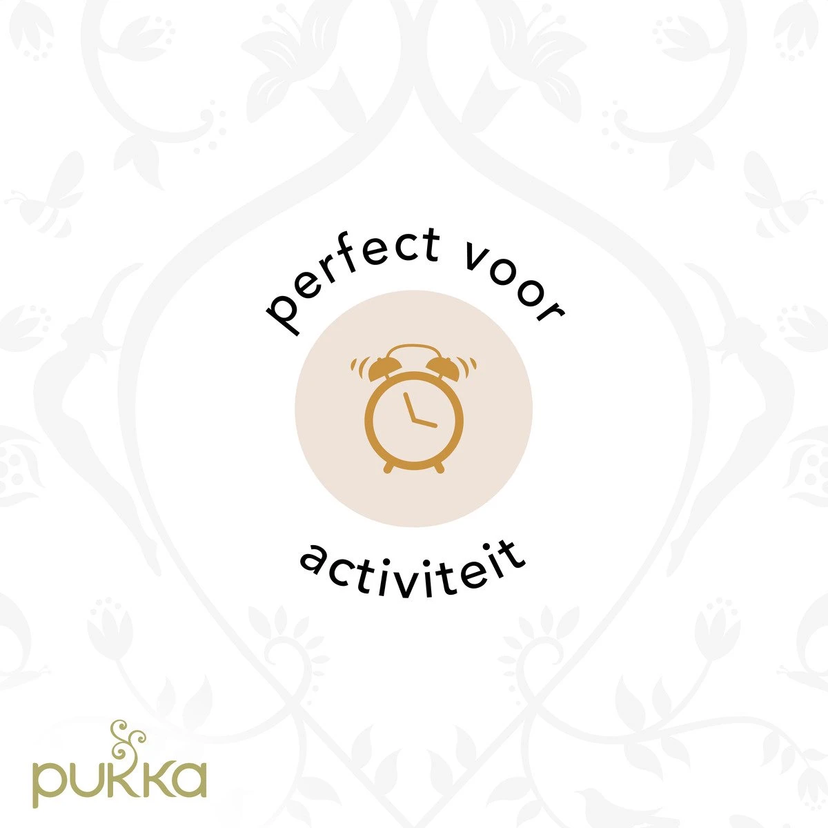 Pukka Active Kruidenthee Geschenkdoos - 5 Blends Biologische Kruidenthee, Ook Leuk Als Verjaardagscadeau - 45 Zakjes - Theedoos - GB-BIO-05 10 Pukka Active Kruidenthee Geschenkdoos - 5 Blends Biologische Kruidenthee, Ook Leuk Als Verjaardagscadeau - 45 Zakjes - Theedoos - GB-BIO-05 - Afbeelding 8