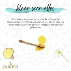 Pukka Original Kruidenthee Geschenkdoos - 9 Blends Biologische Kruidenthee, Ook Leuk Als Verjaardagscadeau - 45 Zakjes - Theedoos - GB-BIO-05 -Voedsel Serie Winkel 1200x1200 341