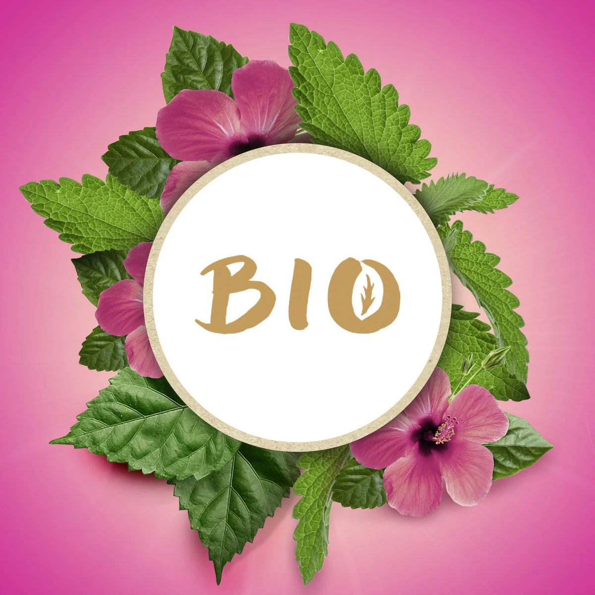 Lipton Hibiscus & Melissa Kruidenthee, Met De Zoete Smaak Van Hibiscus En De Frisse Smaak Van Melissa - 4 X 20 Zakjes - PL-EKO-03 10 Lipton Hibiscus & Melissa Kruidenthee, Met De Zoete Smaak Van Hibiscus En De Frisse Smaak Van Melissa - 4 X 20 Zakjes - PL-EKO-03 - Afbeelding 8