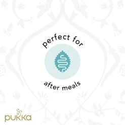 Pukka Three Mint Thee, Met Pepermunt, Groene Munt En Veldmunt - 4 X 20 Zakjes - GB-BIO-05 -Voedsel Serie Winkel 1200x1200 364