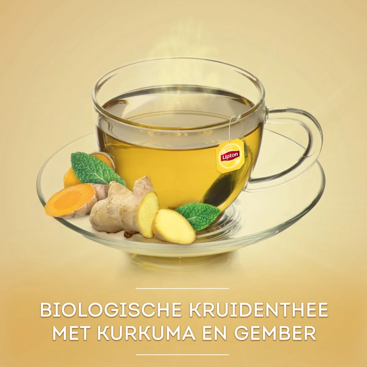 Lipton Turmeric & Ginger Kruidenthee, Met De Vurige, Verwarmende Smaak Van Gember En Kurkuma - 4 X 20 Zakjes - PL-EKO-03 8 Lipton Turmeric & Ginger Kruidenthee, Met De Vurige, Verwarmende Smaak Van Gember En Kurkuma - 4 X 20 Zakjes - PL-EKO-03 - Afbeelding 6