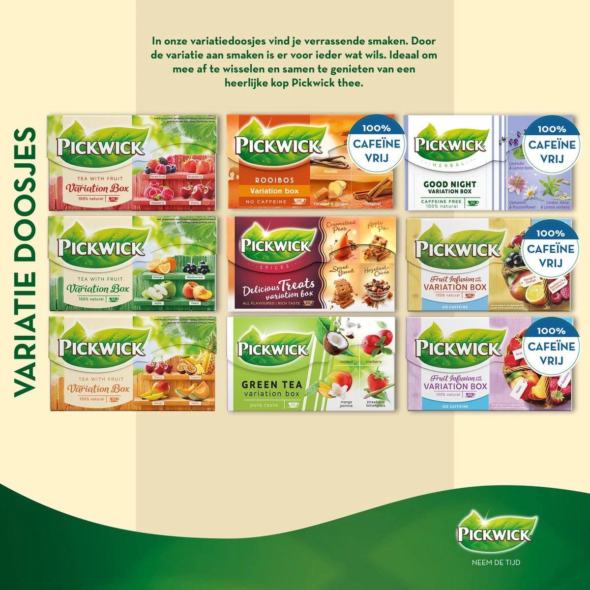 Pickwick Groene Thee Variatiebox - 12 X 20 Zakjes 7 Pickwick Groene Thee Variatiebox - 12 X 20 Zakjes - Afbeelding 5