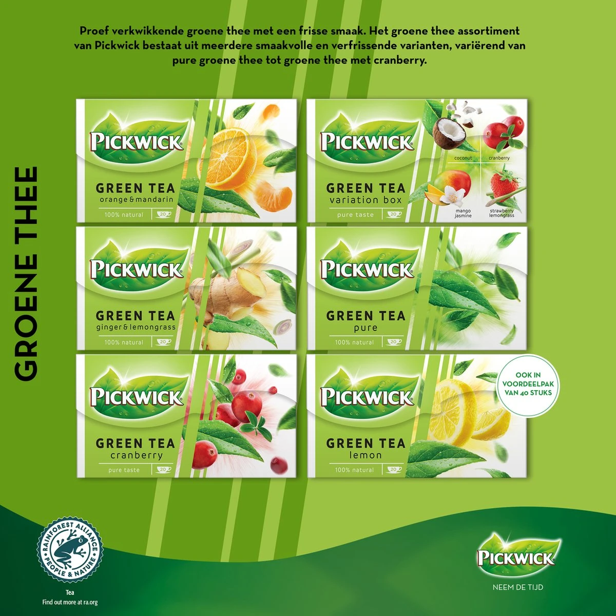 Pickwick Pure Groene Thee - 12 X 20 Zakjes 8 Pickwick Pure Groene Thee - 12 X 20 Zakjes - Afbeelding 6