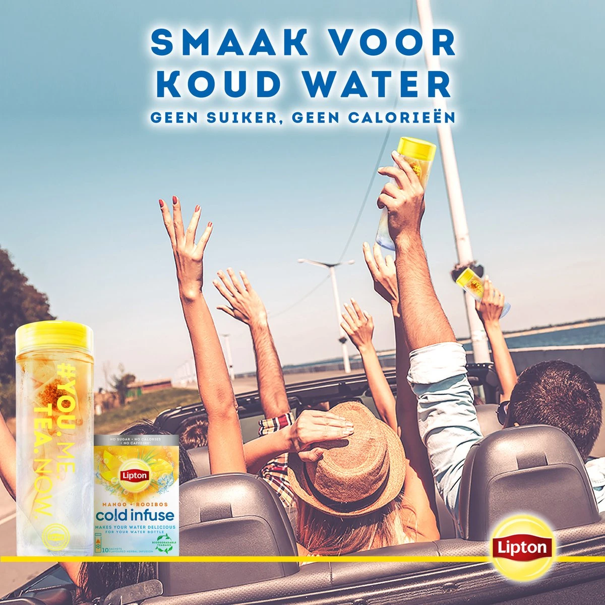 Lipton Cold Infuse Rooibos & Mango, Smaak Voor Koud Water Zonder Suiker En Calorieën - 6 X 10 Zakjes - NL-BIO-01 8 Lipton Cold Infuse Rooibos & Mango, Smaak Voor Koud Water Zonder Suiker En Calorieën - 6 X 10 Zakjes - NL-BIO-01 - Afbeelding 6