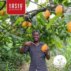 Chocolade Hart | Love | Liefde | Chocoladecadeau -Voedsel Serie Winkel 1200x1200 495