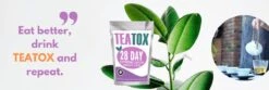 TeaTox™ 28 Dagen Afvallen Detox - Thee - Detox + E-book 30 Recepten -Voedsel Serie Winkel 1200x401