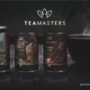 Teamasters Giftbox - Thee Geschenkset - Kerstpakket - Thee - Herbal Chai - Herbal Rooibos - Groene Thee - Perzik - Appel - Kerst - Geschenkset -Voedsel Serie Winkel 1200x614