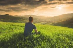 Teamasters Pure, Blends & Specials Mixbox - Gratis RVS Filter - Biologische Losse Thee - Rooibos - Munt - Citroen - Groene Thee - Jasmijn Thee - Zwarte Thee - Gember - Witte Thee - Framboos - Passievrucht - Theedoos - Zomer - Geschenkset -Voedsel Serie Winkel 1200x799 16