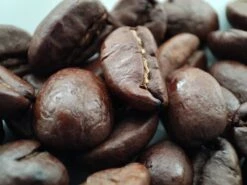 Voordeelpakket: Den Leeuw Lungo (80 Koffiecups) - Roast Koffiecups - Echte Hollandsche Koffie Van Den Leeuw In Nespresso Cups - Nespresso Compatibele Koffie Cups -Voedsel Serie Winkel 1200x900