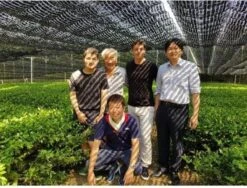 Japanse Matcha Cadeau Set - Het Perfecte Cadeau! ✔ Vandaag Besteld, Morgen In Huis ✔ Gratis Matcha Boek Bij Uw Bestelling! 24 Japanse Matcha Cadeau Set - Het Perfecte Cadeau! ✔ Vandaag Besteld, Morgen In Huis ✔ Gratis Matcha Boek Bij Uw Bestelling! -Voedsel Serie Winkel 1200x911 3