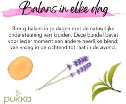 Pukka Day To Night Thee Bundel, Biologische Kruidenthee Voor Elk Moment Van De Dag - 3 X 20 Zakjes - GB-BIO-05 -Voedsel Serie Winkel 1200x996 2