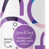 Soof Drinks - Frisdrank - Sparkling - Zwarte Bes - Lavendel - Appel 12 X 250ml - Natuurlijk Fruit 1 Soof Drinks - Frisdrank - Sparkling - Zwarte Bes - Lavendel - Appel 12 X 250ml - Natuurlijk Fruit -Voedsel Serie Winkel 480x1200