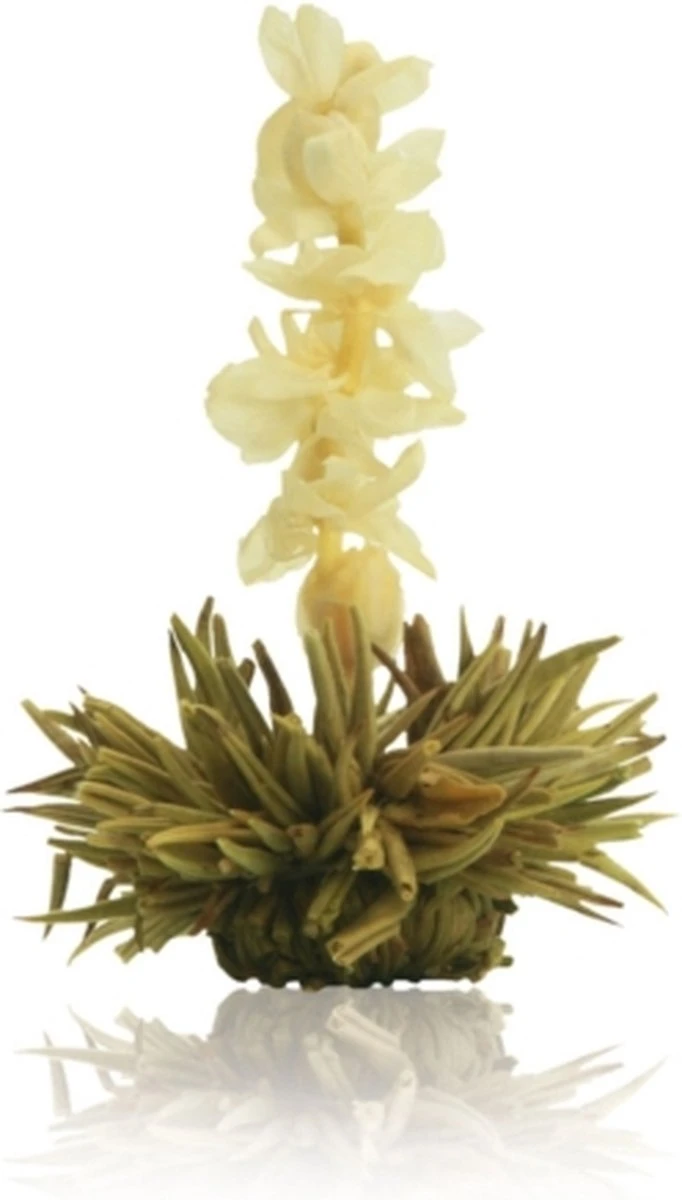 Creano Theebloemen Geschenkset Kadoverpakking Theebloemen En Glazen Theekan - Witte Theebloemen En Zwarte Theebloemen (6 Stuks) 10 Creano Theebloemen Geschenkset Kadoverpakking Theebloemen En Glazen Theekan - Witte Theebloemen En Zwarte Theebloemen (6 Stuks) - Afbeelding 8