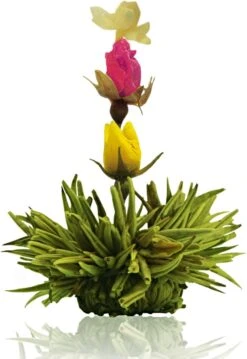 Creano Theebloemen Pakket Groene Thee - Fruitsmaken - 6 Stuks - 12 Creano Theebloemen Pakket Groene Thee - Fruitsmaken - 6 Stuks - -Voedsel Serie Winkel 826x1200 1