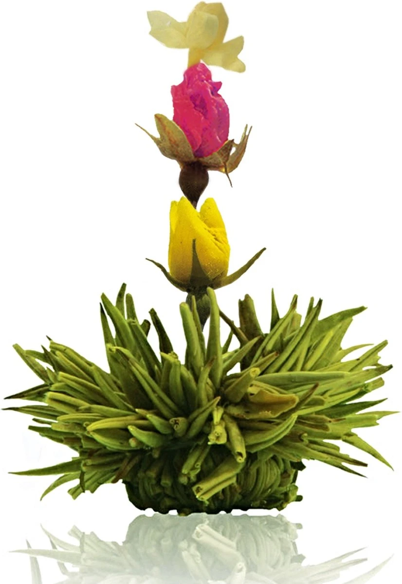 Creano Theebloemen Pakket Groene Thee - Fruitsmaken - 6 Stuks - 6 Creano Theebloemen Pakket Groene Thee - Fruitsmaken - 6 Stuks - - Afbeelding 4