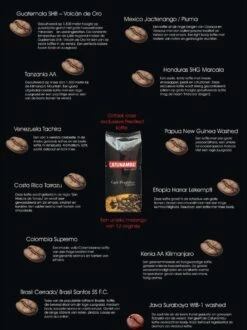 Catunambú Predilect Koffiebonen 1 Kilo - Premium Kwaliteit - Horecakoffie Voor Thuis - Ultiem Koffiegenot 9 Catunambú Predilect Koffiebonen 1 Kilo - Premium Kwaliteit - Horecakoffie Voor Thuis - Ultiem Koffiegenot -Voedsel Serie Winkel 897x1200 1