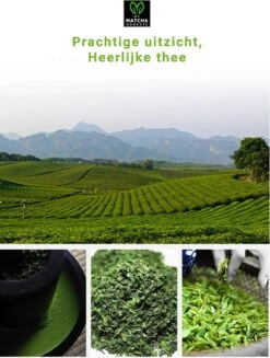 TMomentes® High Quality Culinary MATCHA Thee - Matcha Poeder - Matcha Thee - 100% Organisch Gecertificeerd - 100 Gram -Voedsel Serie Winkel 907x1200