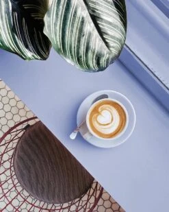 CHALO Prijswinnende Masala Chai Latte - Indische Vegan Chai - Zwarte Assam Thee - 25 Porties/ 300GR -Voedsel Serie Winkel 960x1200 14